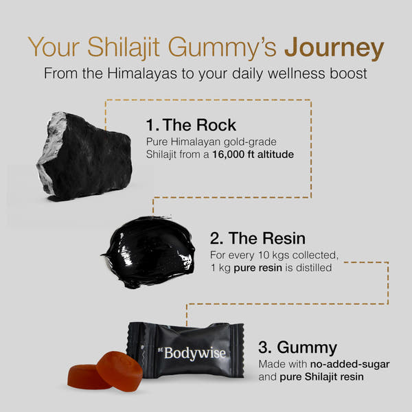 Bodywise Pure Himalayan Shilajit Gummies Gold