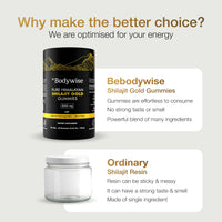 Bodywise Pure Himalayan Shilajit Gummies Gold